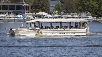 403-3854 Charles River Cruise - Boston Duck Tours